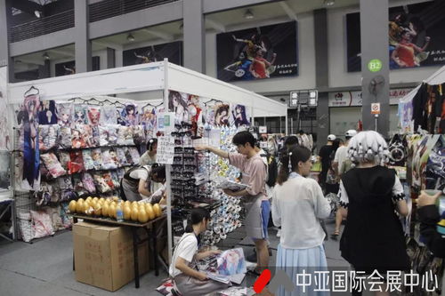 會展服務全解析 聚焦展覽服務的核心類型