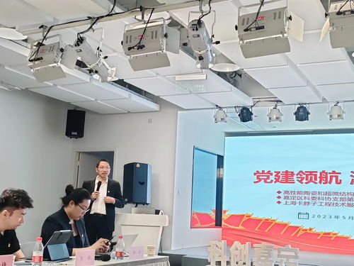 黨建領航 激發(fā)科創(chuàng)新動能 多方聯(lián)合主題黨日活動聚焦信息技術咨詢服務